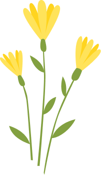 nineras en medellin por hora